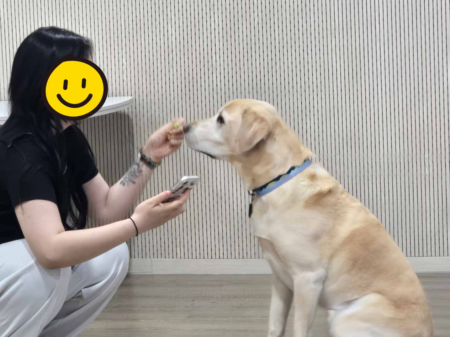 2026년 마음산책_댕댕 힐링 Time : 너의 이름은?
