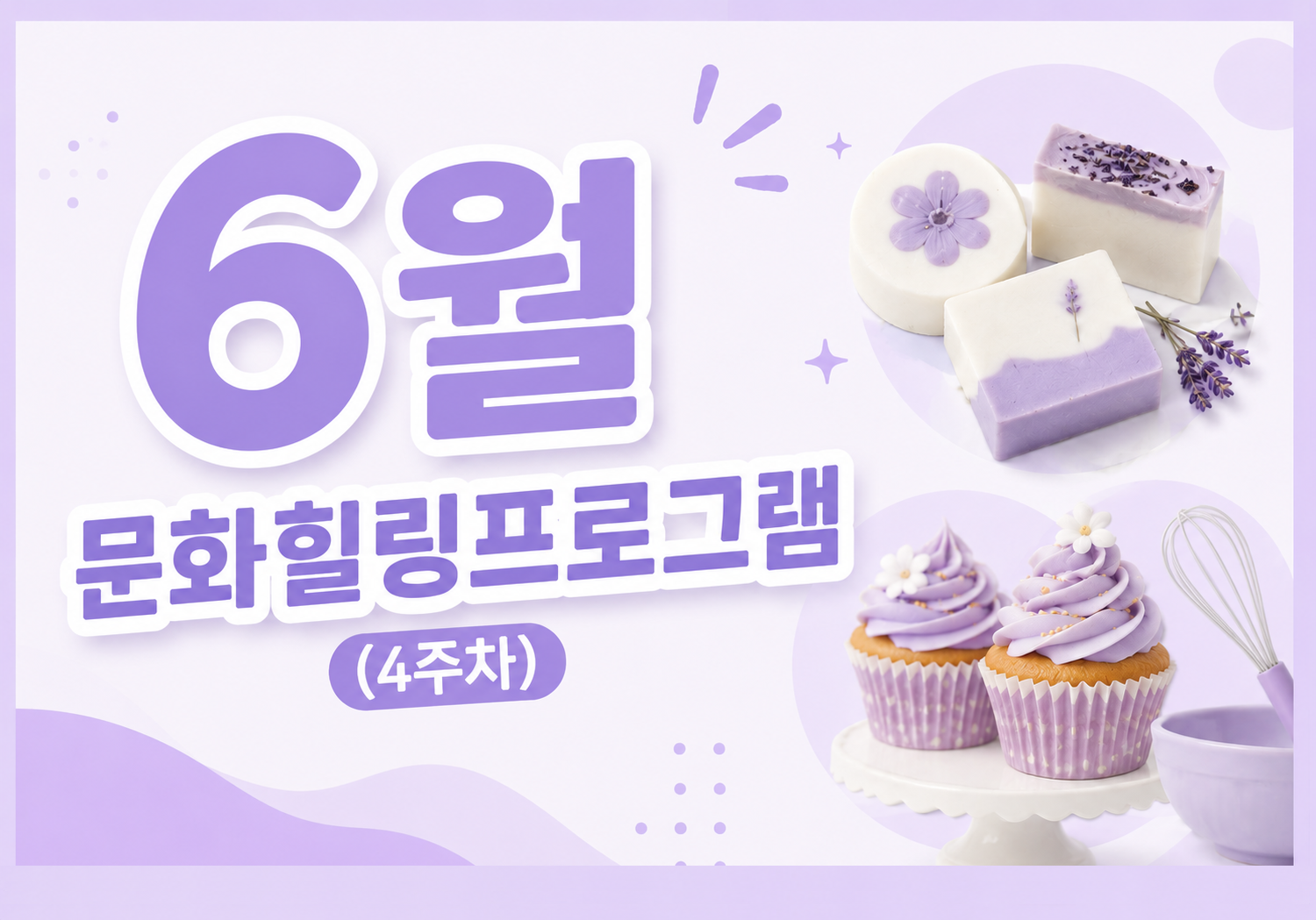 [서울시자립지원전담기관] 6월 문화힐링프로그램 (4주차)
