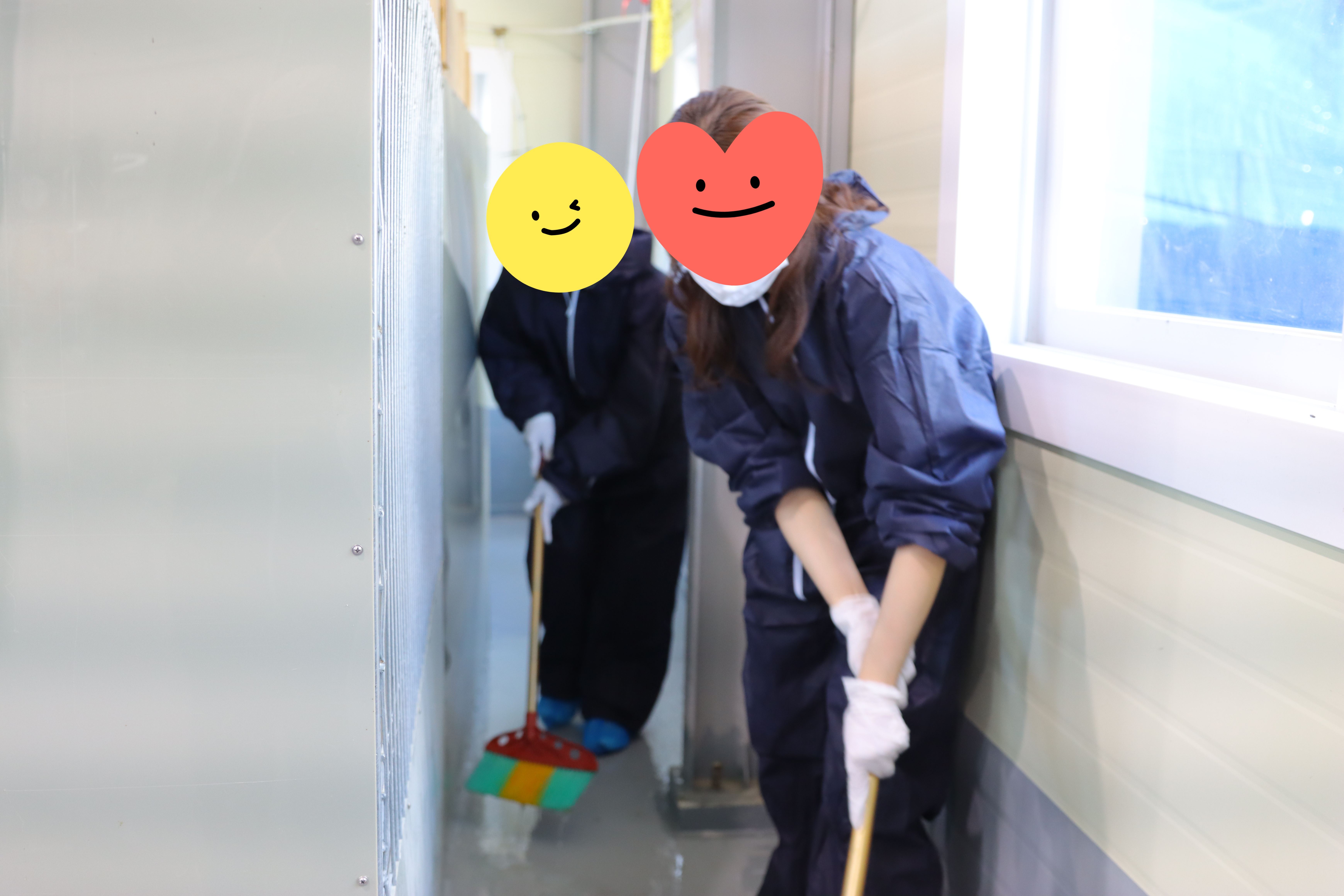 [서울자립청년단] 유기견쉼터 봉사활동 진행